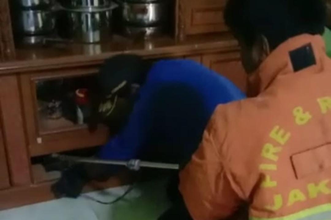 ...